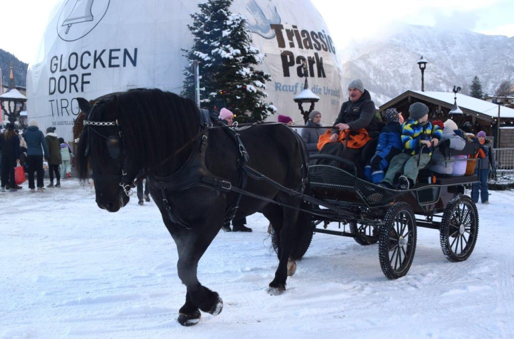 Daxenzwicken Waidring