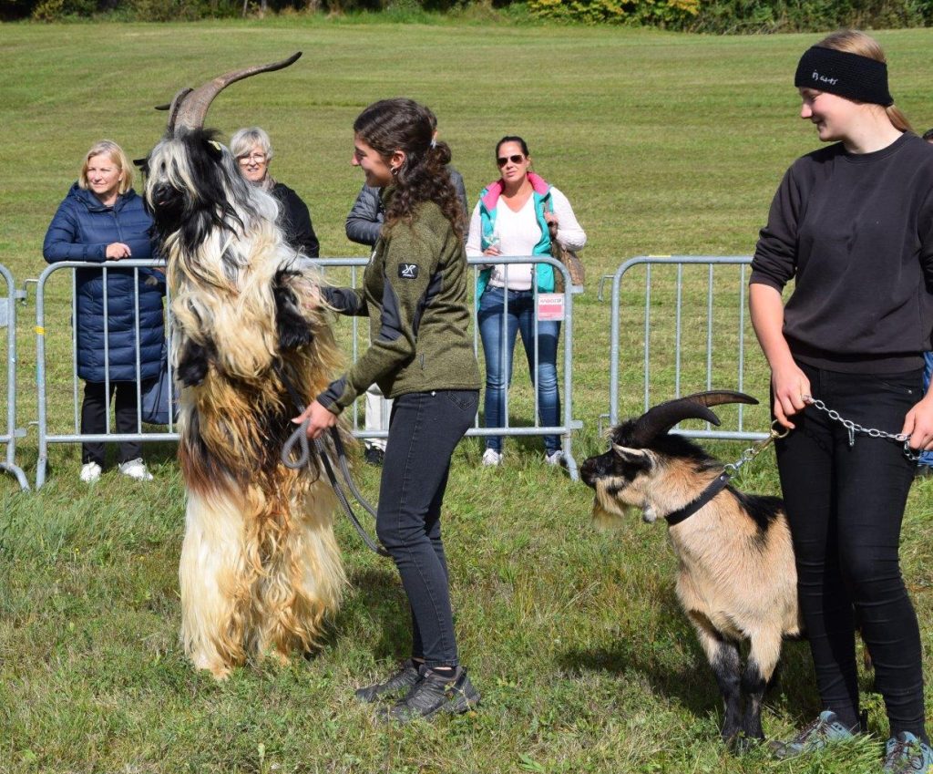 Schmankerlfest & Goaßbocktreffen St. Johann